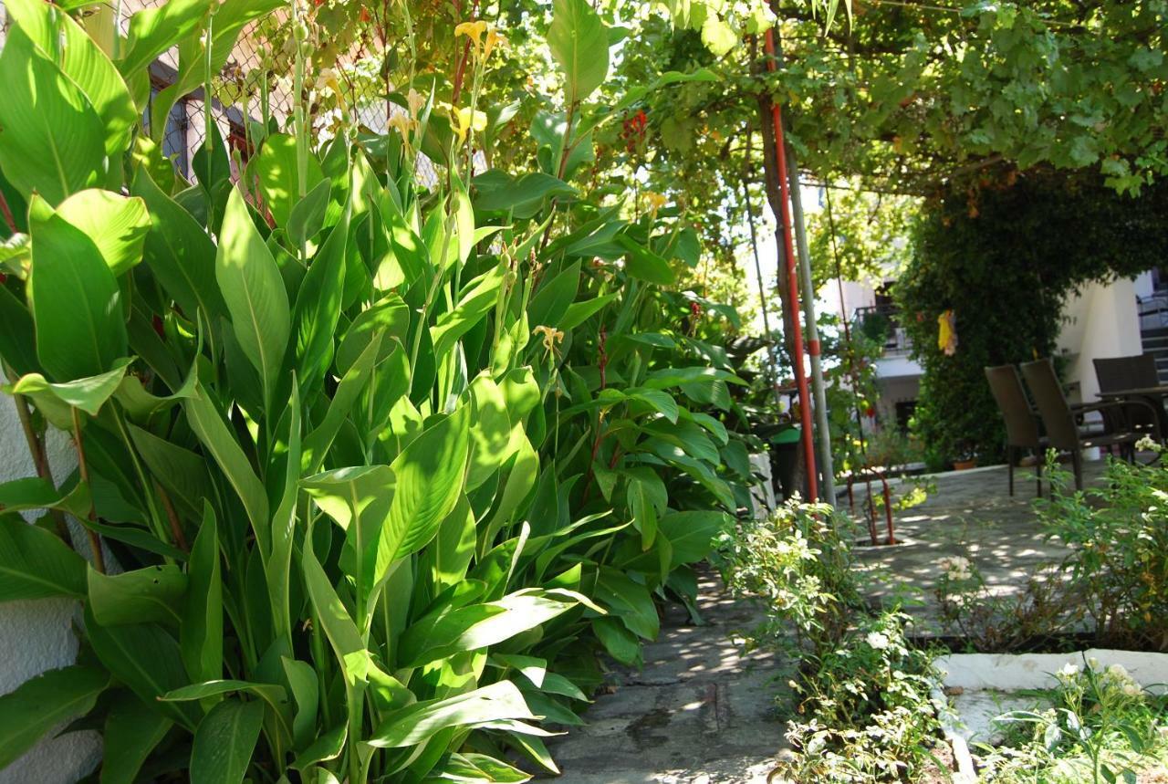Studio Nastasia Afytos Exterior photo